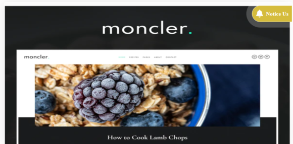 Moncler - Food Blog Elementor Template Kit