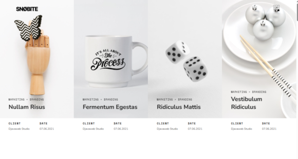 Snobite Clean & Minimal Portfolio Elementor Template kit