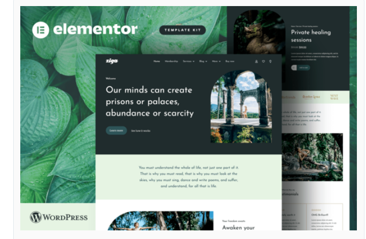 Ziga - Healer & Life Coach Elementor Template Kit