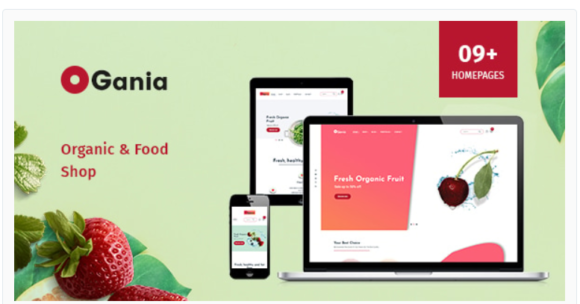 Ogania - Organic & Food WooCommerce WordPress Theme
