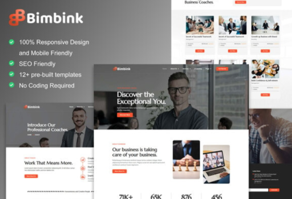 Bimbink - Business Coach & Consulting Elementor Template Kit