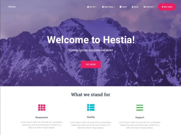 Hestia Wordpress Theme