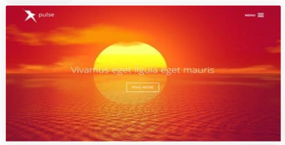 Viva Themes Pulse WordPress Theme