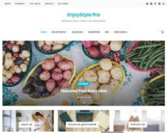 WP Enjoy – EnjoyStyle Pro Wordpress Theme