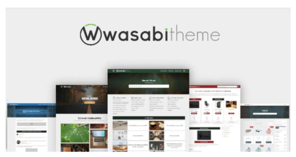 Wasabi  – Best WordPress Theme for SEO
