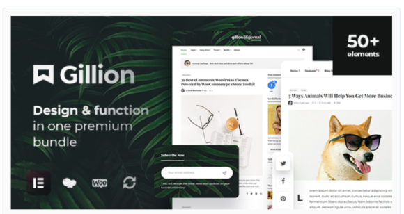 Gillion - Multi-Concept Blog/Magazine & Shop WordPress AMP Theme