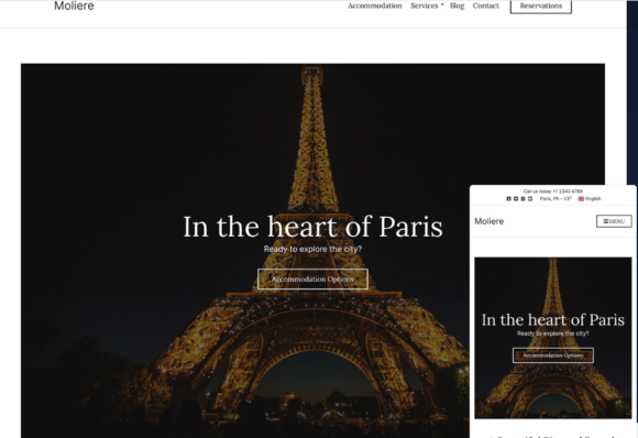 Moliere - WordPress theme