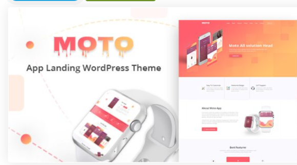 Moto WordPress Landing Page Theme