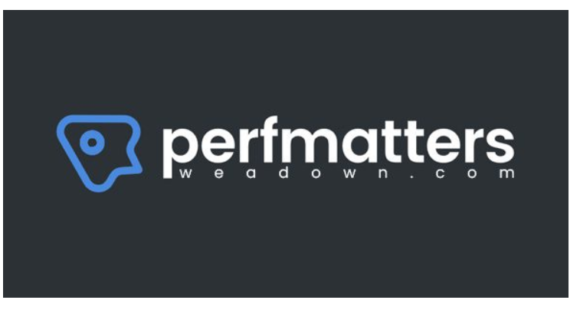 Perfmatters - Lightweight WordPress Performance Plugin