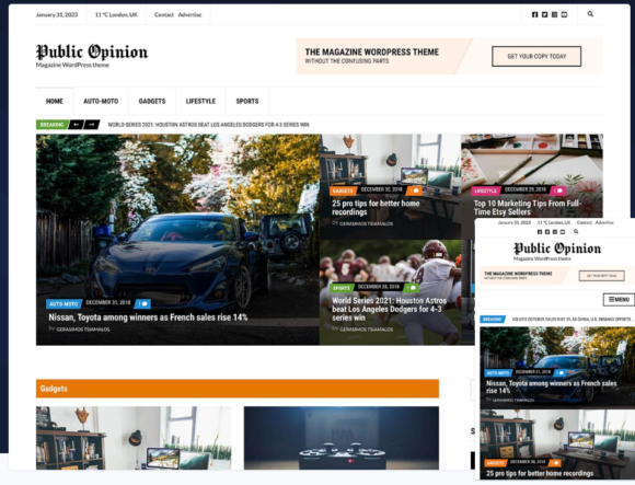 Public Opinion - WordPress theme