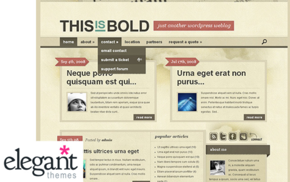 Elegant Themes Bold Premium WordPress Theme