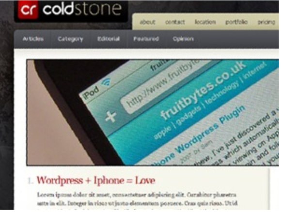 Elegant Themes ColdStone  WordPress Theme