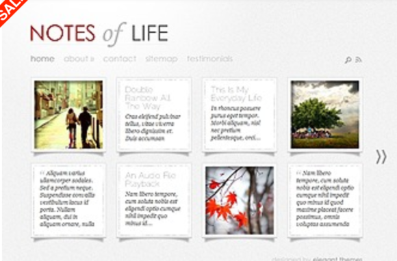 Elegant Themes DailyNotes  WordPress Theme