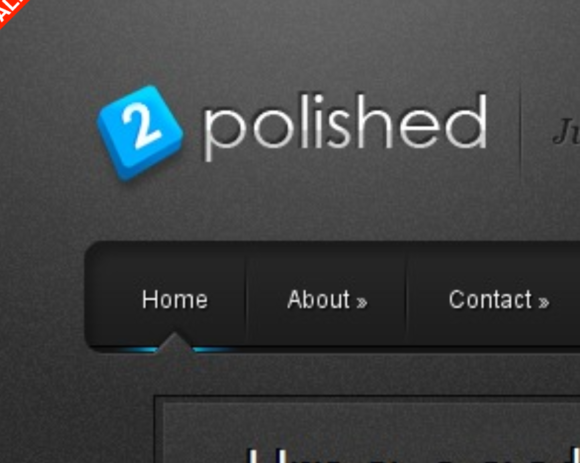 Elegant Themes Polished WordPress Theme