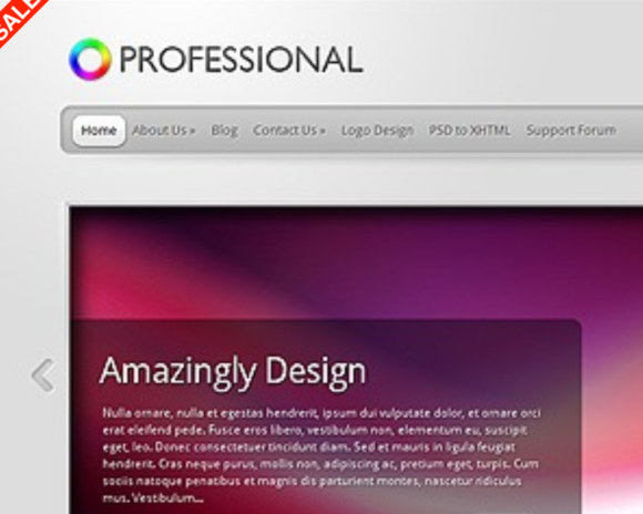 Elegant Themes TheProfessional WordPress Theme
