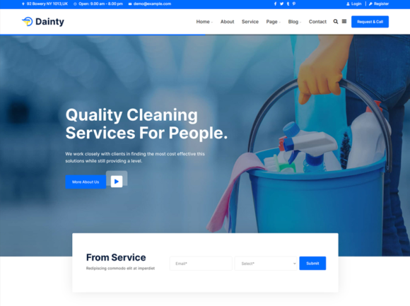 Dainty - Cleaning Service Responsive WordPress Theme