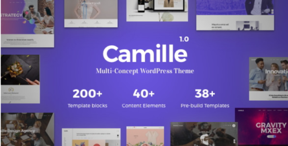 Camille - Multi-Concept WordPress Theme