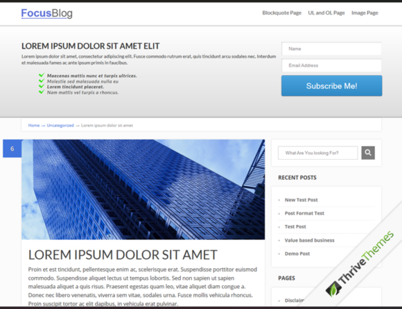 Focus Blog Wordpress Theme