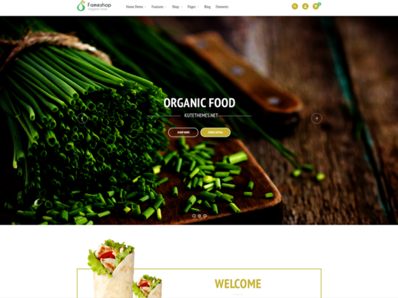 Fameshop - Responsive WooCommerce WordPress Theme Preview