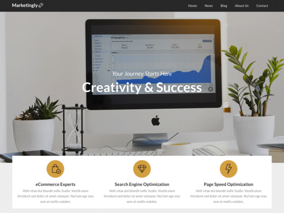 Superb Marketingly – WordPress Theme