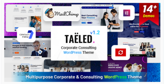 TAELED - Business Consulting WordPress Theme