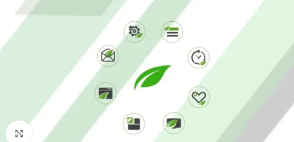 Thrive License Activator Plugin