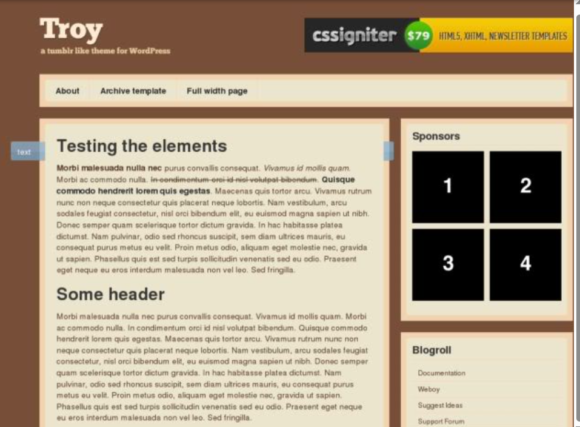 Troy WordPress Theme