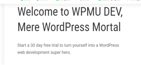 Ultimate Branding WordPress Plugin