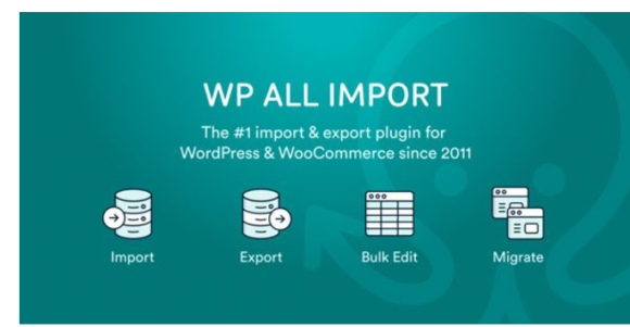 WP All Import Pro Plugin