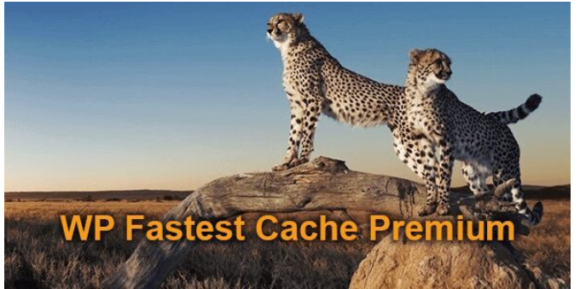 WP Fastest Cache Premium – WordPress Cache Plugin