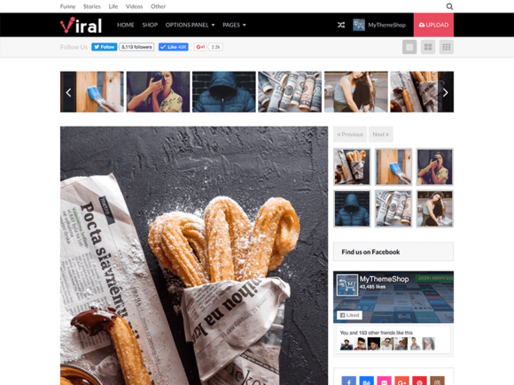 MTS Viral - Wordpress Theme